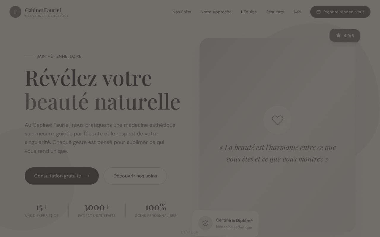 Le Cabinet Fauriel — avant refonte